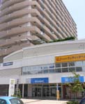 hamamatsu02