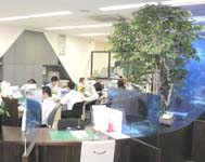 hamamatsu01