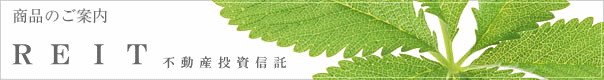 商品のご案内　REIT